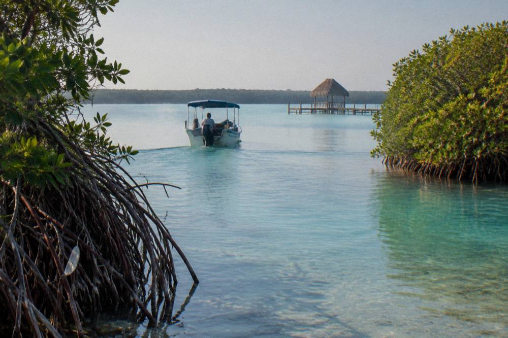 A narrow mangrove channel of turquoise water with a small boat passing through on a Bacalar boat tour